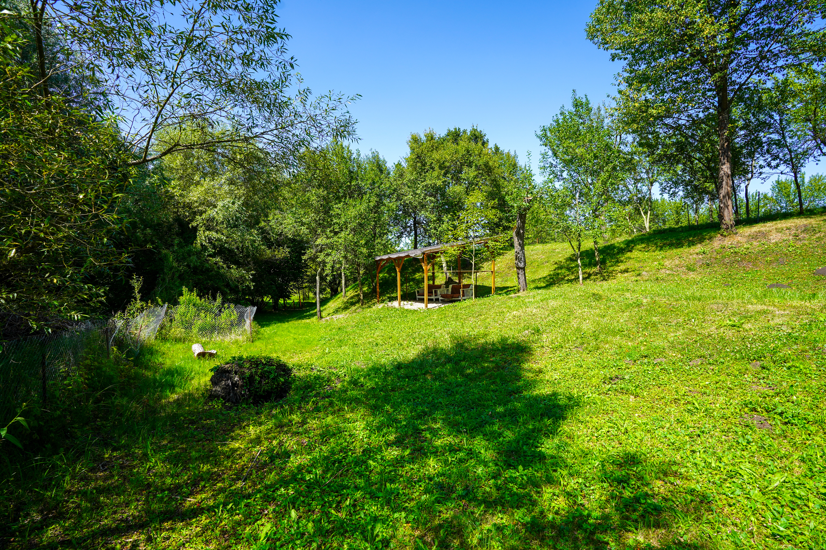  Restored Authentic Saxon House in Viscri, Between Heritage and Nature - 物件實景