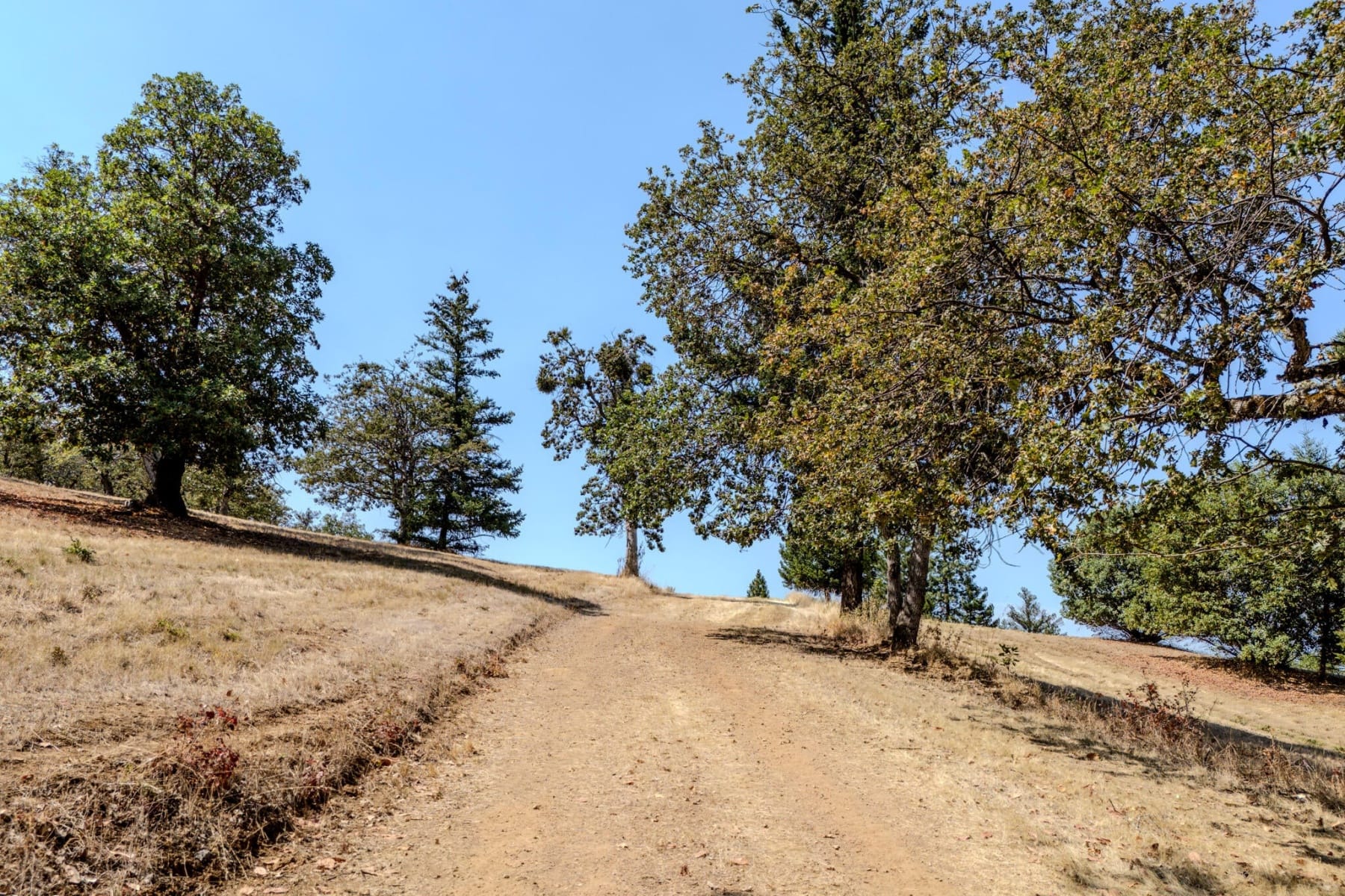  3575 S Stage Road #Lot 6 Medford, OR 97501 - 物件實景