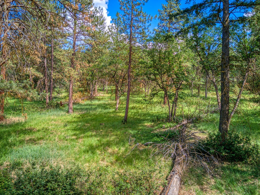 Klamath Falls, Oregon, 97601, United States, ,Land,For Sale,1793869
