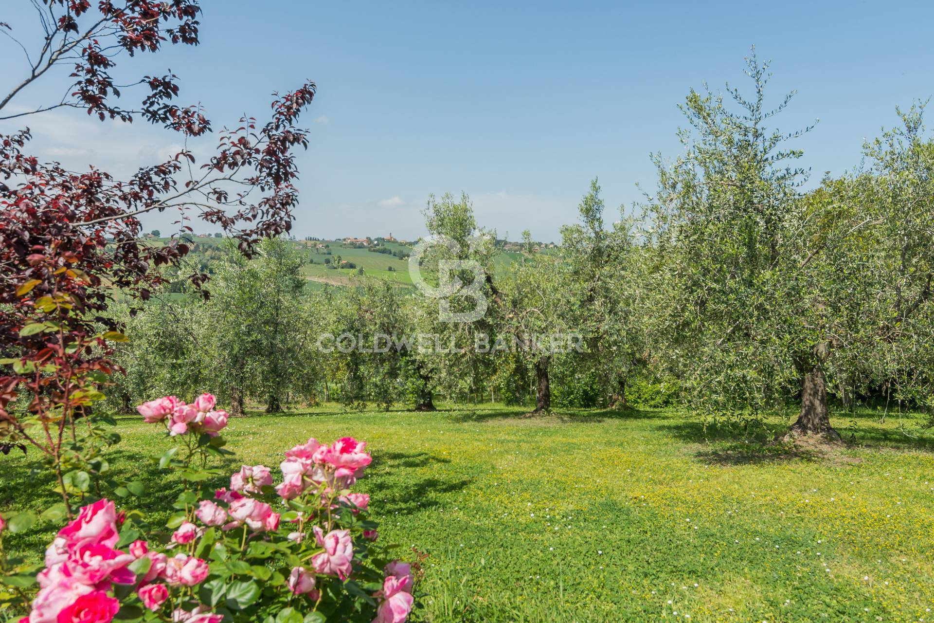 via giardino, San Clemente, Rimini, 47040, IT, 5 Bedrooms Bedrooms, ,3 BathroomsBathrooms,Residential,For Sale,via giardino,1522427