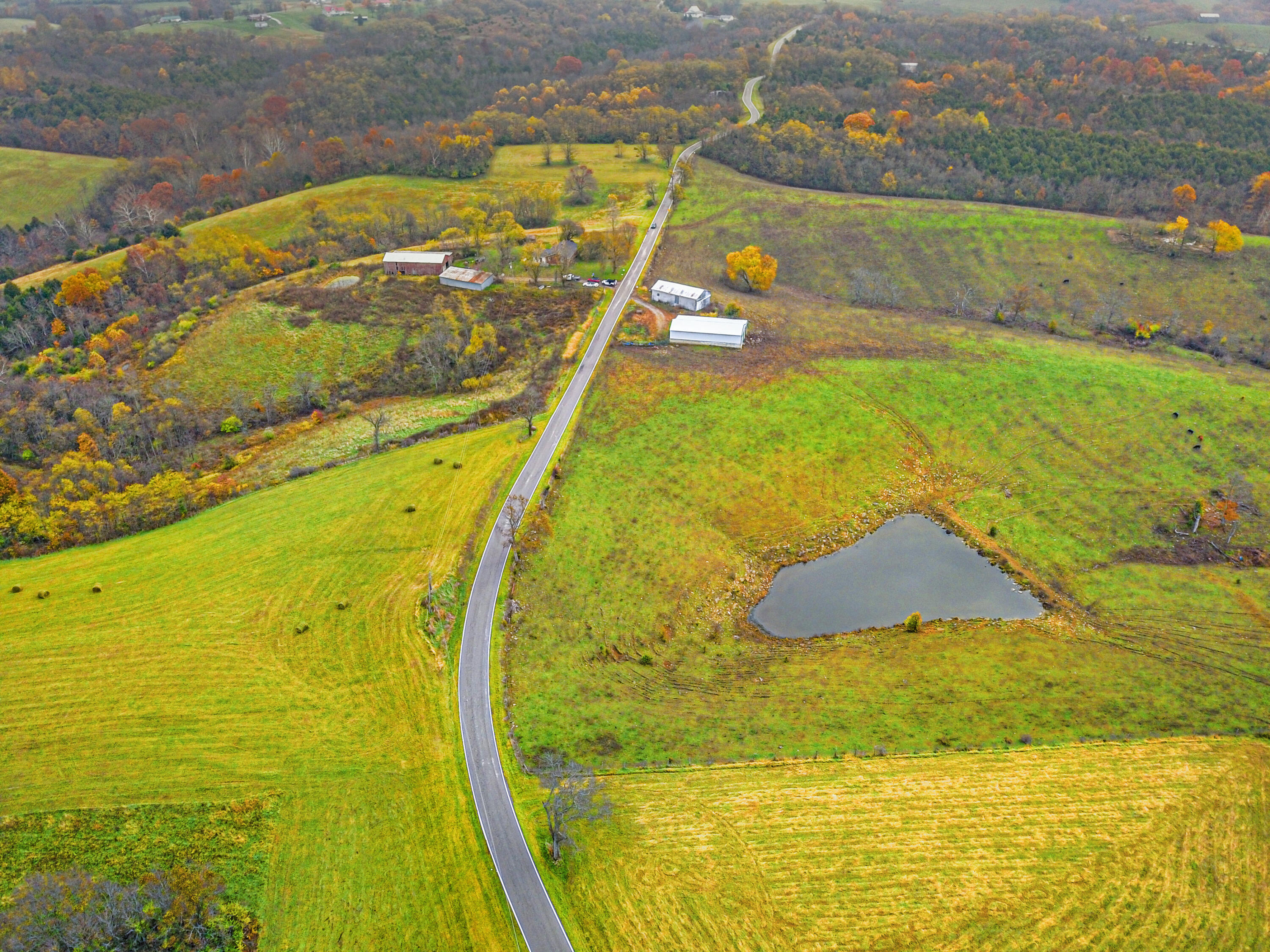 Williamstown, Kentucky, 41097, United States, ,Land,For Sale,1995668
