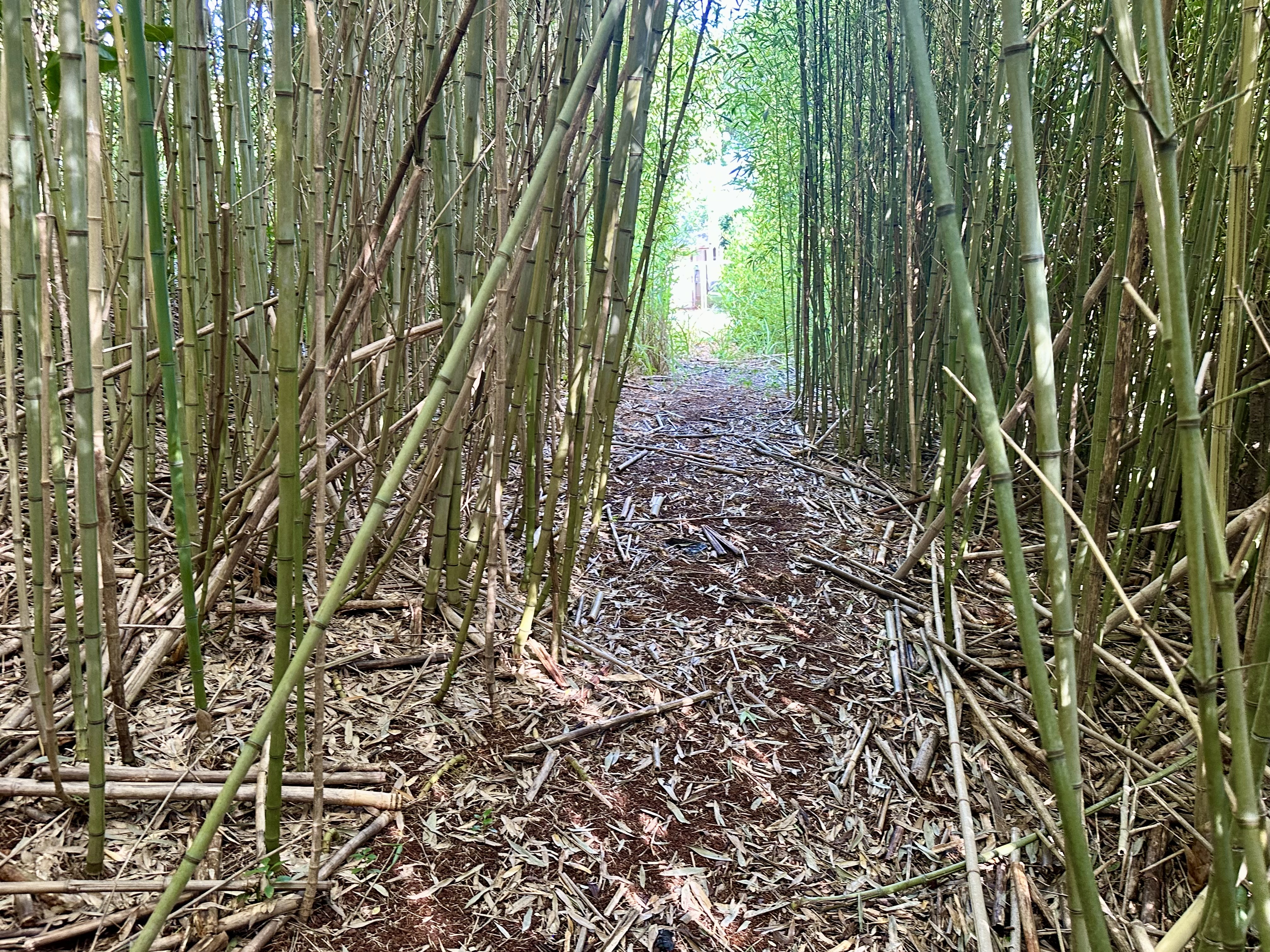 Mililani, Hawaii, 96789, United States, 3 Bedrooms Bedrooms, ,2 BathroomsBathrooms,Residential,For Sale,1978135