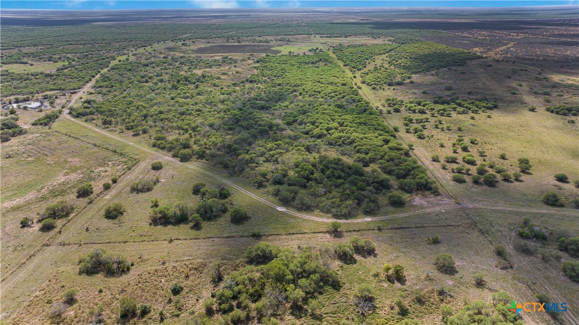Tivoli, Texas, 77990, United States, ,Land,For Sale,1996181