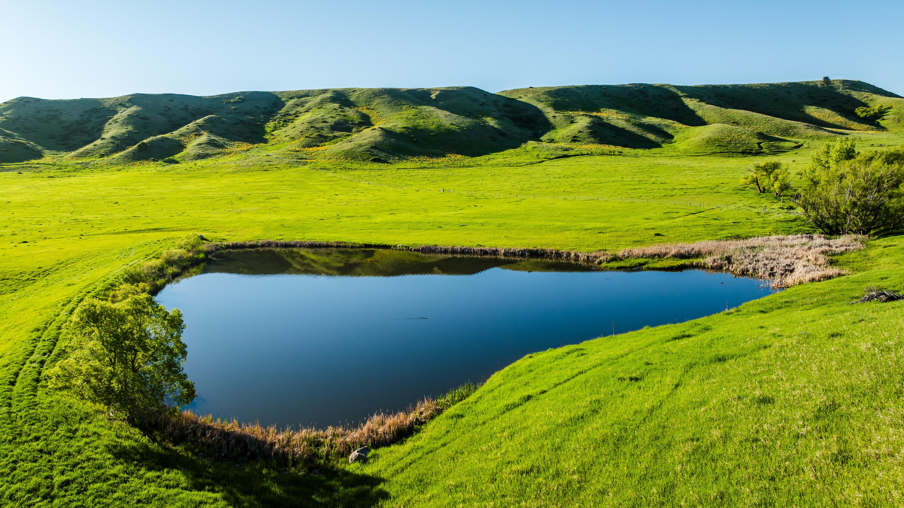 Big Horn, Wyoming, 82833, United States, ,Residential,For Sale,1976689