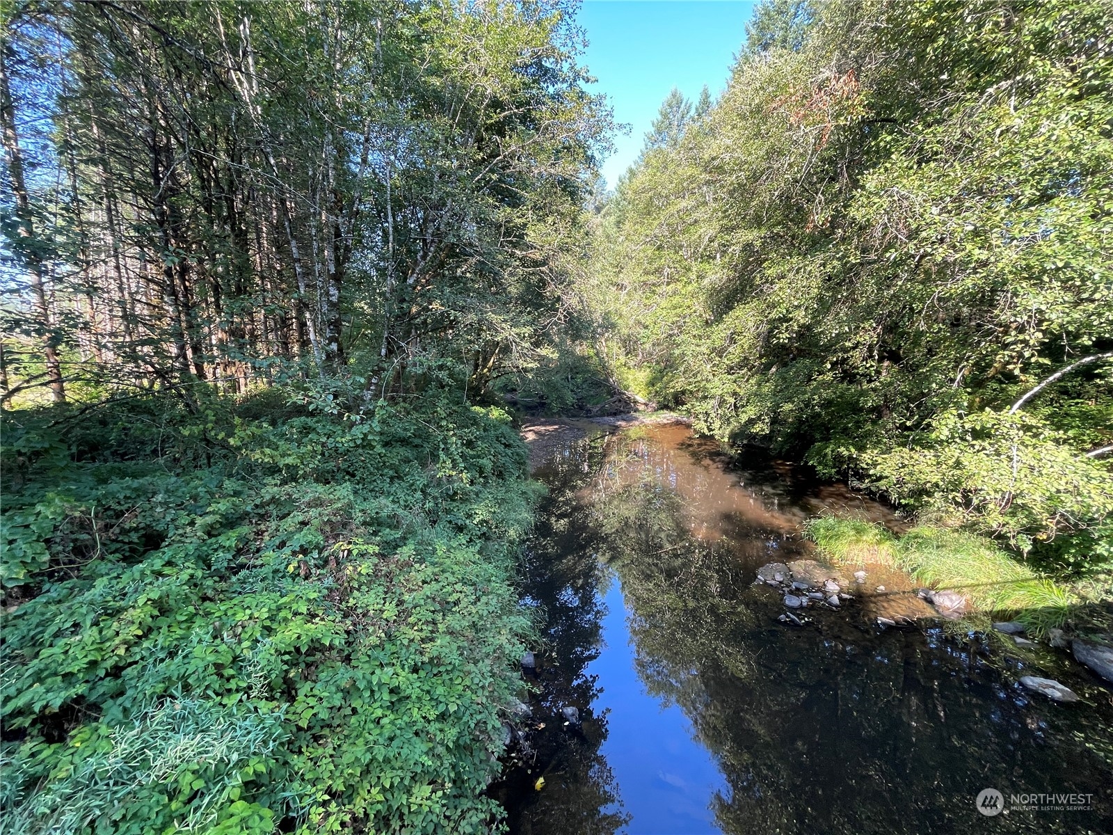 0 Salmon Creek Road, Toledo, Washington, 98591, United States, ,Land,For Sale,0 Salmon Creek Road,1445905
