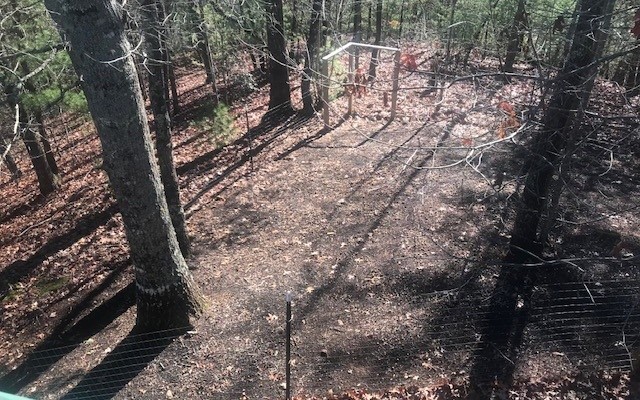 Hiawassee, Georgia, 30546, United States, 3 Bedrooms Bedrooms, ,3 BathroomsBathrooms,Residential,For Sale,1944603