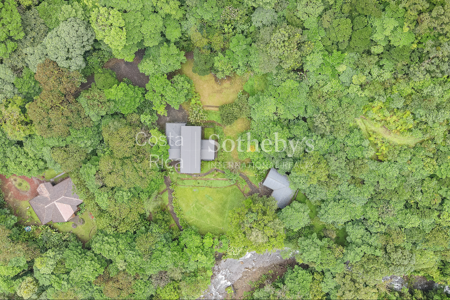  El Silencio Forest Luxe Retreat - 物件實景