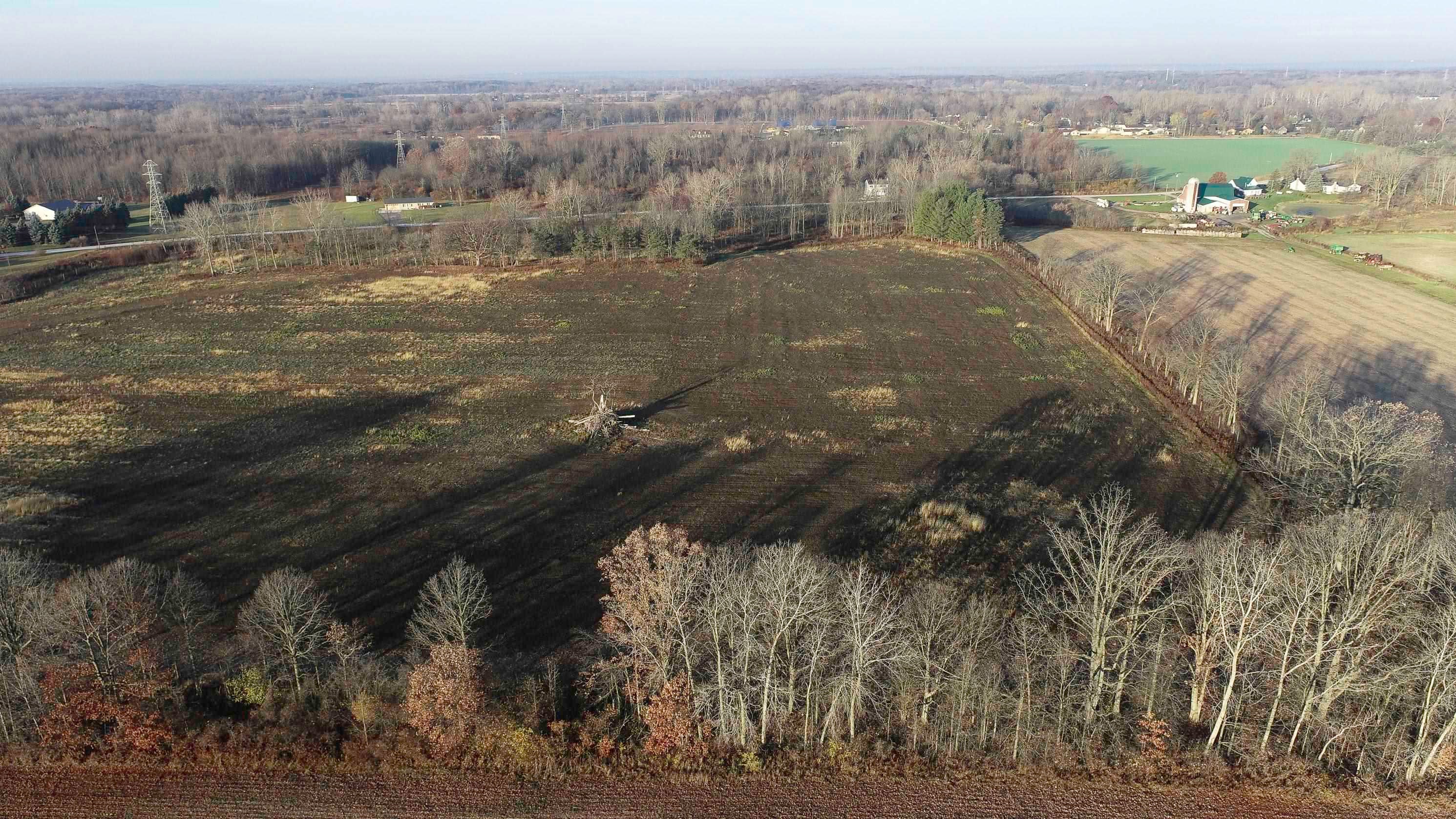 Ray, Michigan, 48096, United States, ,Land,For Sale,1998668