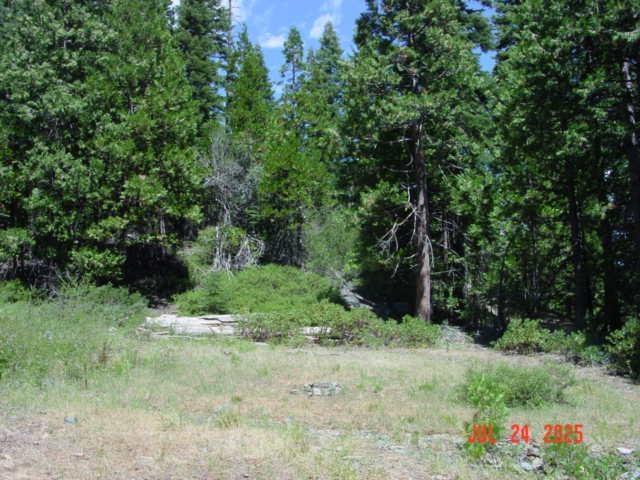 Clio, California, 96106, United States, ,Residential,For Sale,1932146
