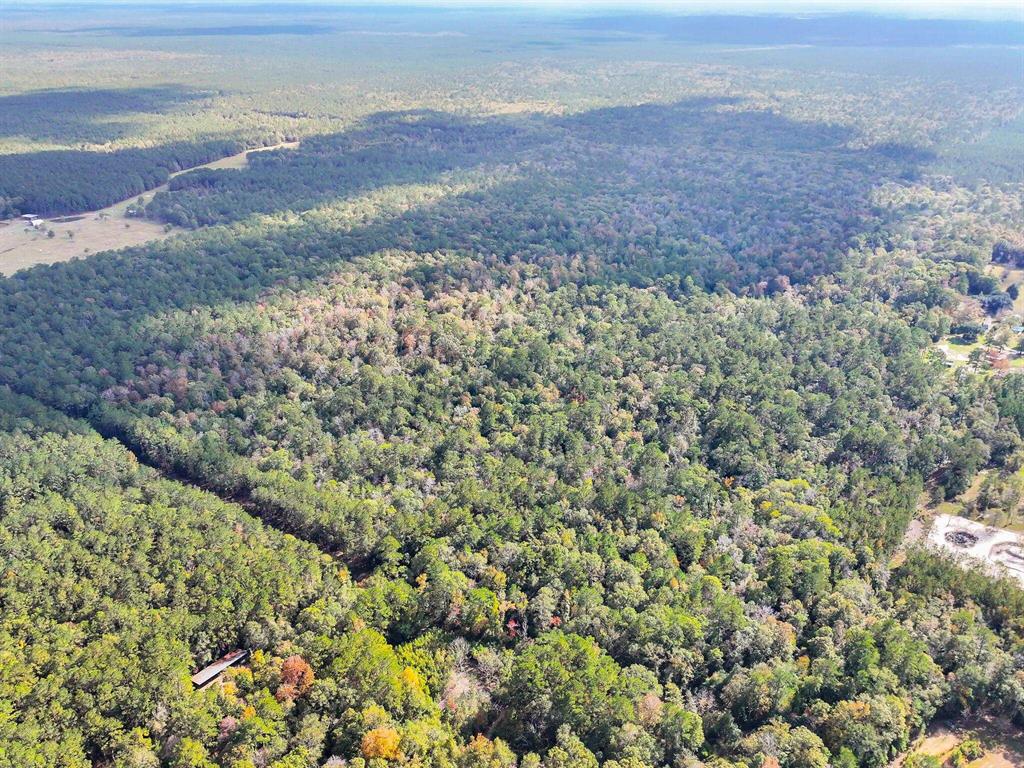 Kountze, Texas, 77652, United States, ,Land,For Sale,1995873