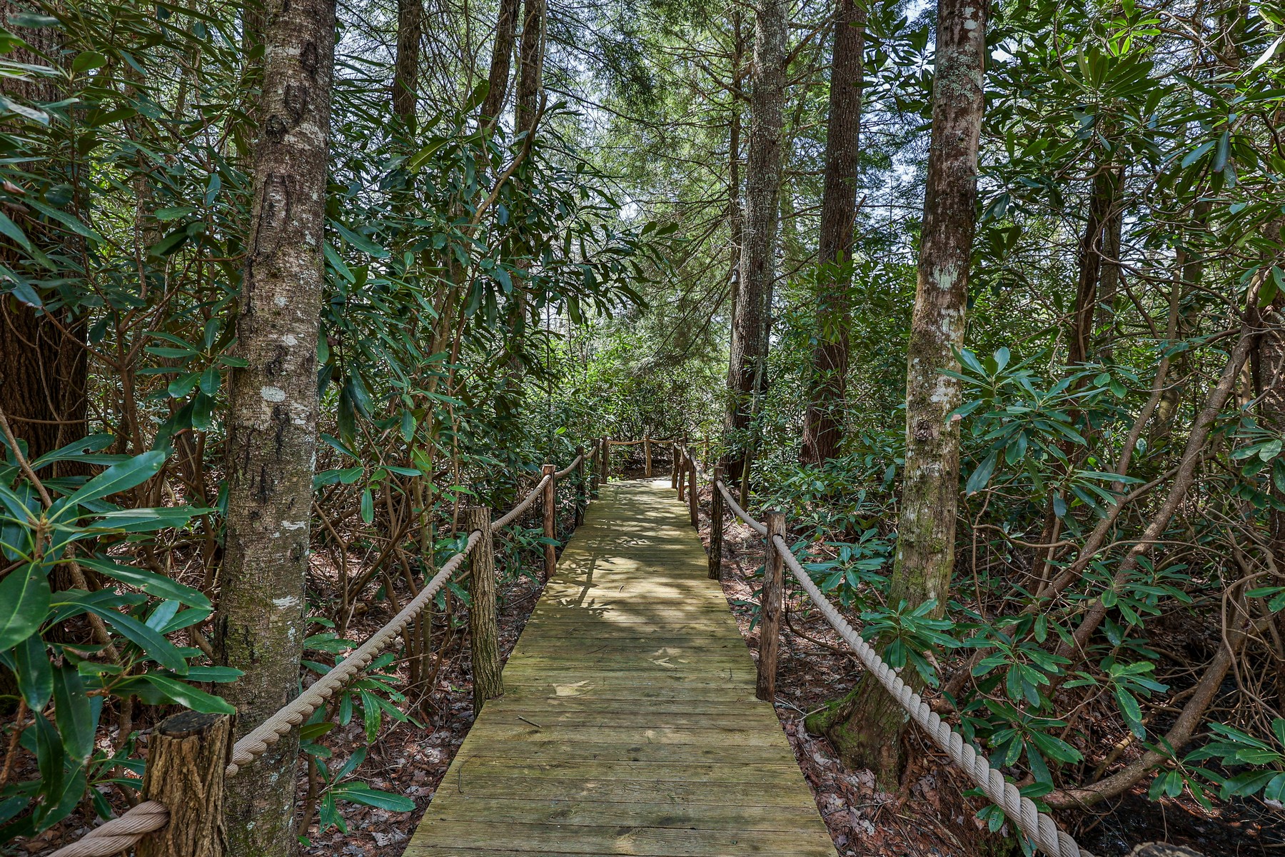  Lot 28 High Pond Lane - 物件實景