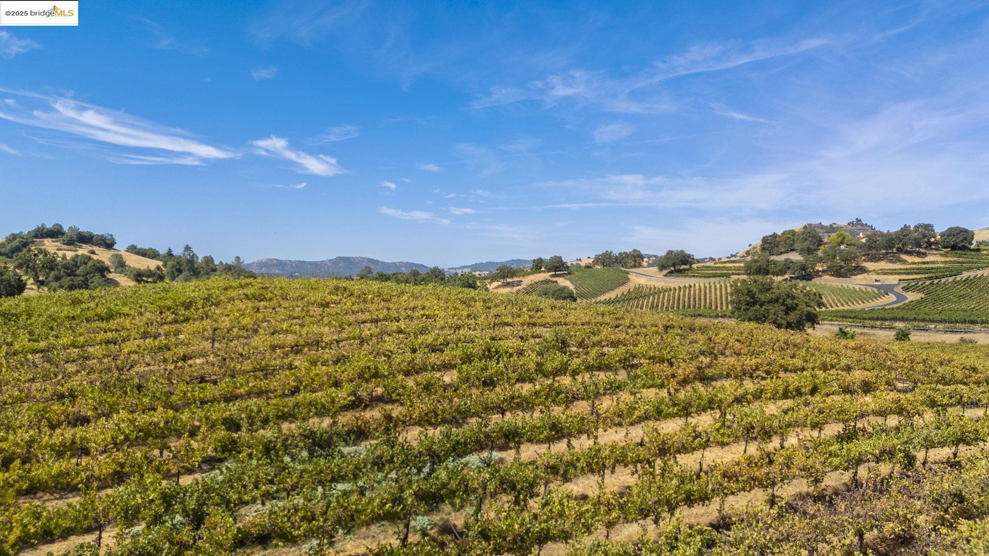 Murphys, California, 95247, United States, ,Land,For Sale,1975931