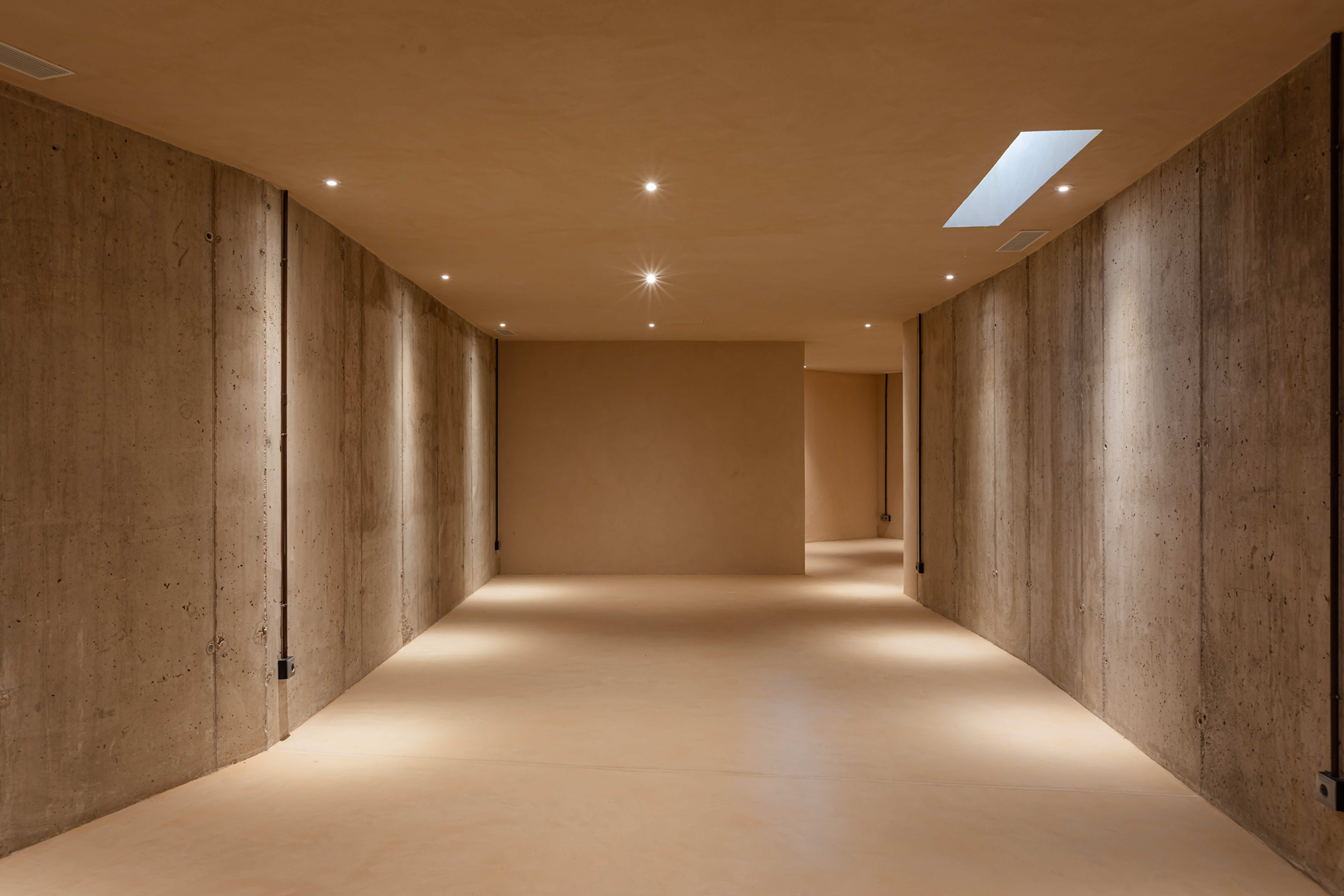  Newly built villa in a private setting in Ibiza - 物件實景