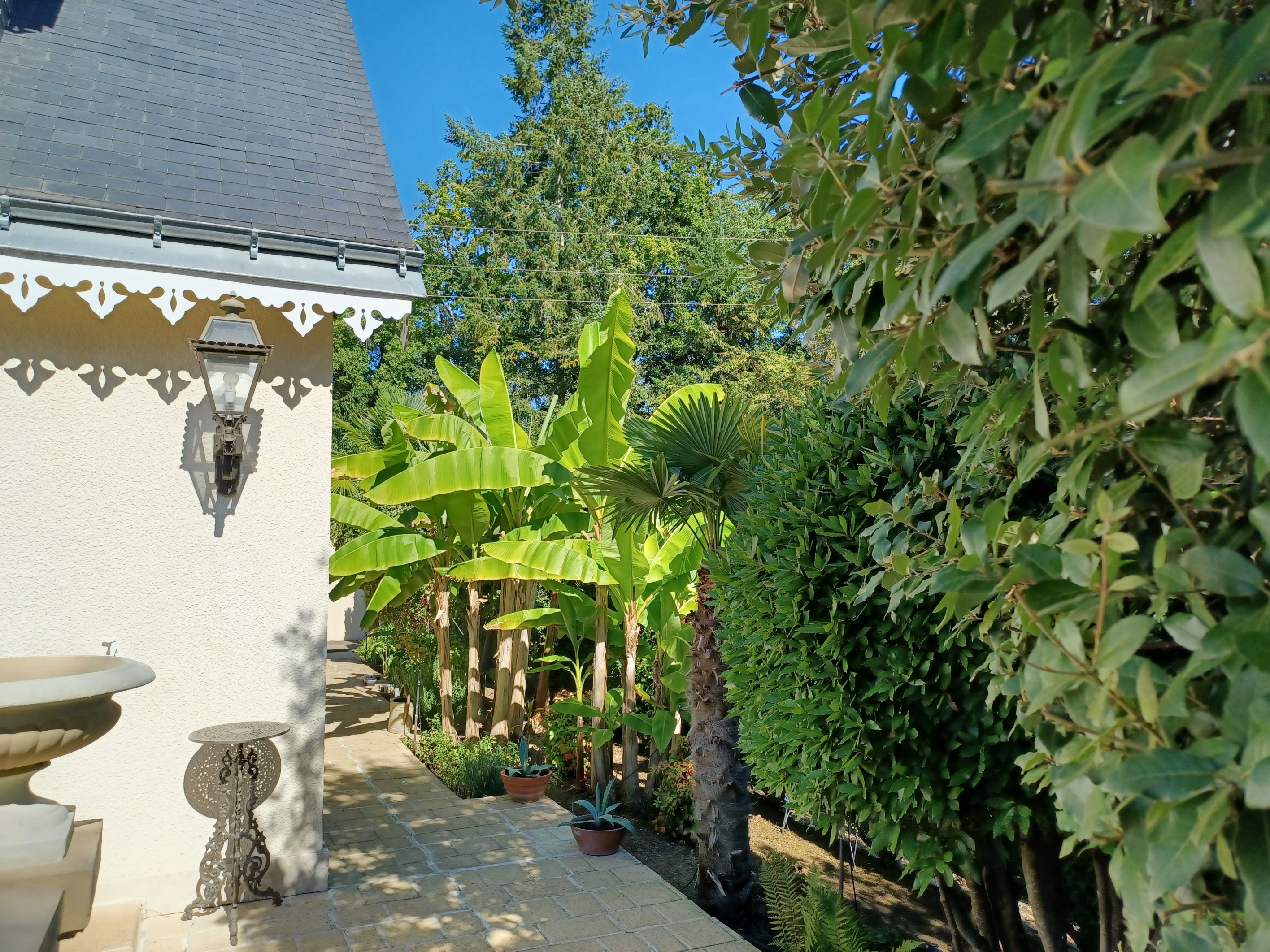  Maison - 物件實景