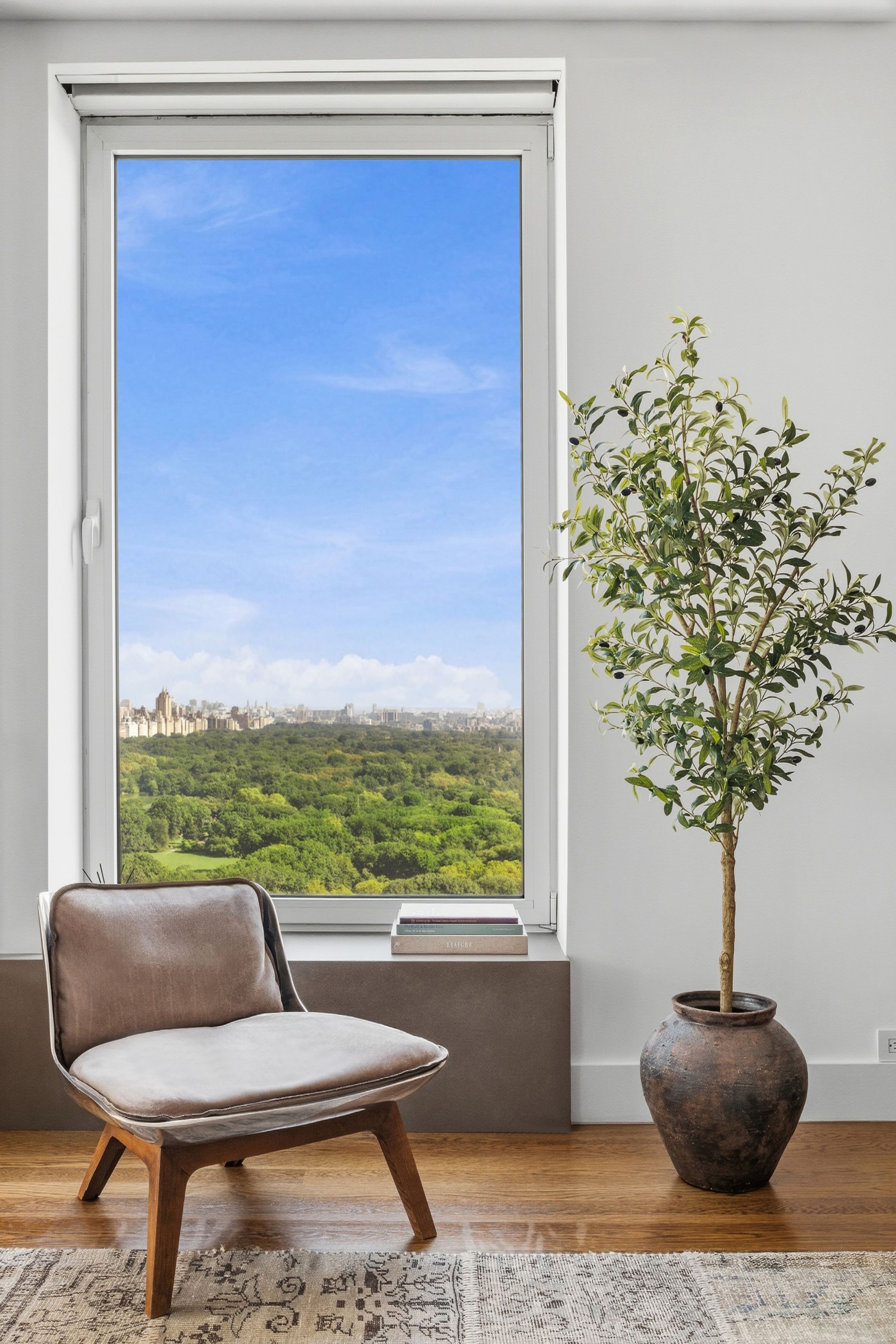  106 Central Park South - 物件實景