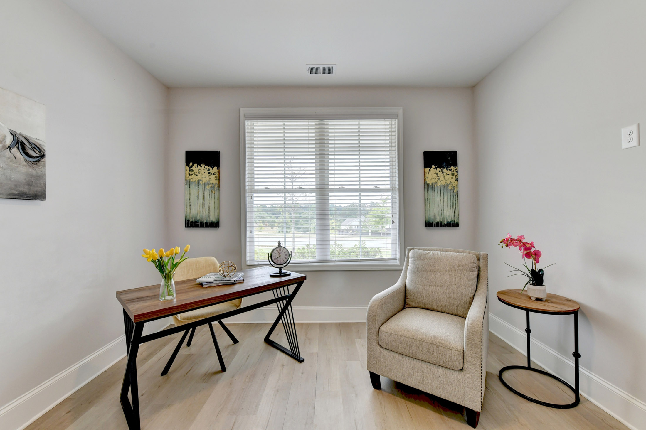  Active Adult Nearly-new Ranch Home in the Heart of Hickory Flat Area of Canton - 物件實景
