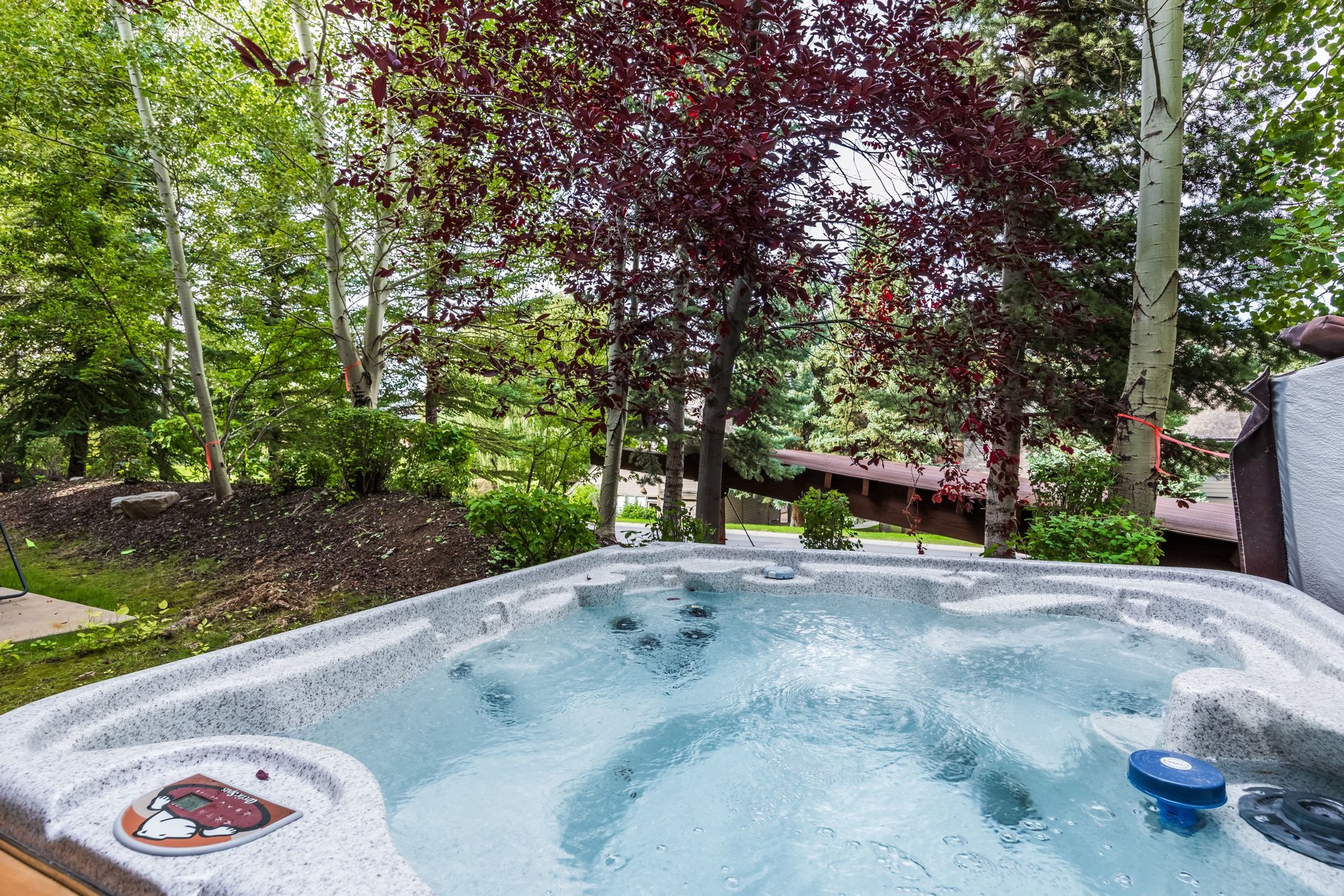  Silver Star 2 BR Ski-in/Ski-out Condo  Step into Your Mountain Dream Lifestyle - 物件實景