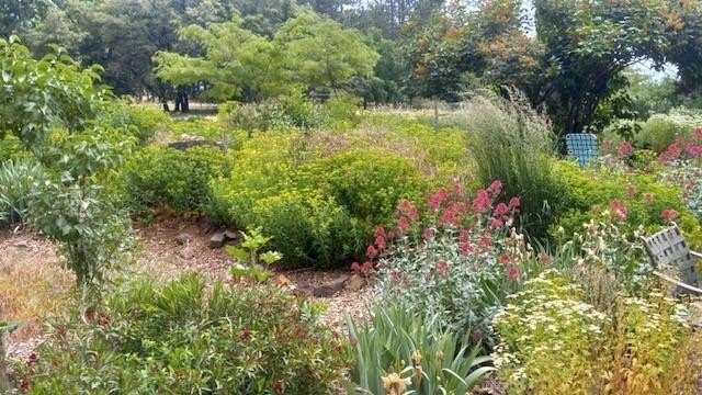 Mokelumne Hill, California, 95245, United States, 5 Bedrooms Bedrooms, ,3 BathroomsBathrooms,Residential,For Sale,1914362