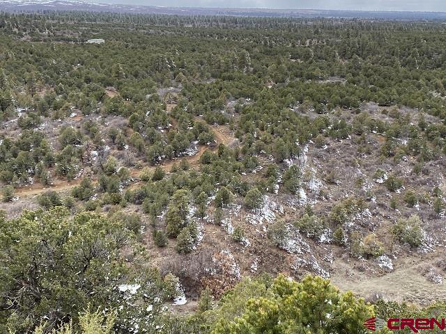 Montrose, Colorado, 81403, United States, ,Land,For Sale,1919926