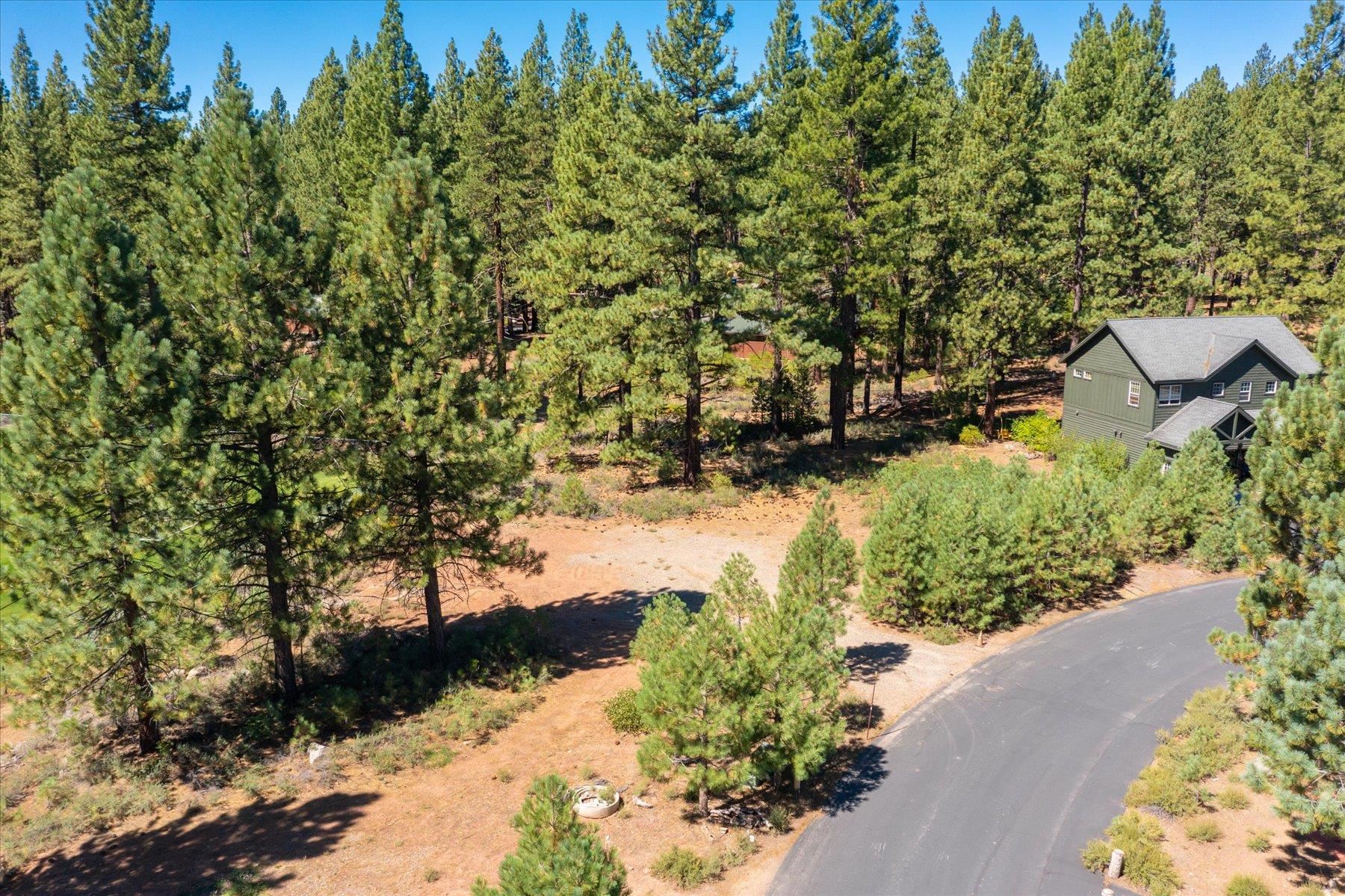 Truckee, California, 96161, United States, ,Land,For Sale,1942120