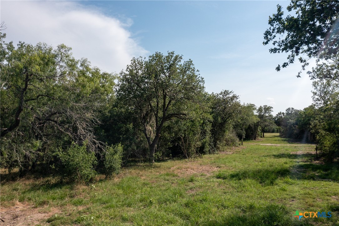 Yorktown, Texas, 78164, United States, ,Land,For Sale,1856260