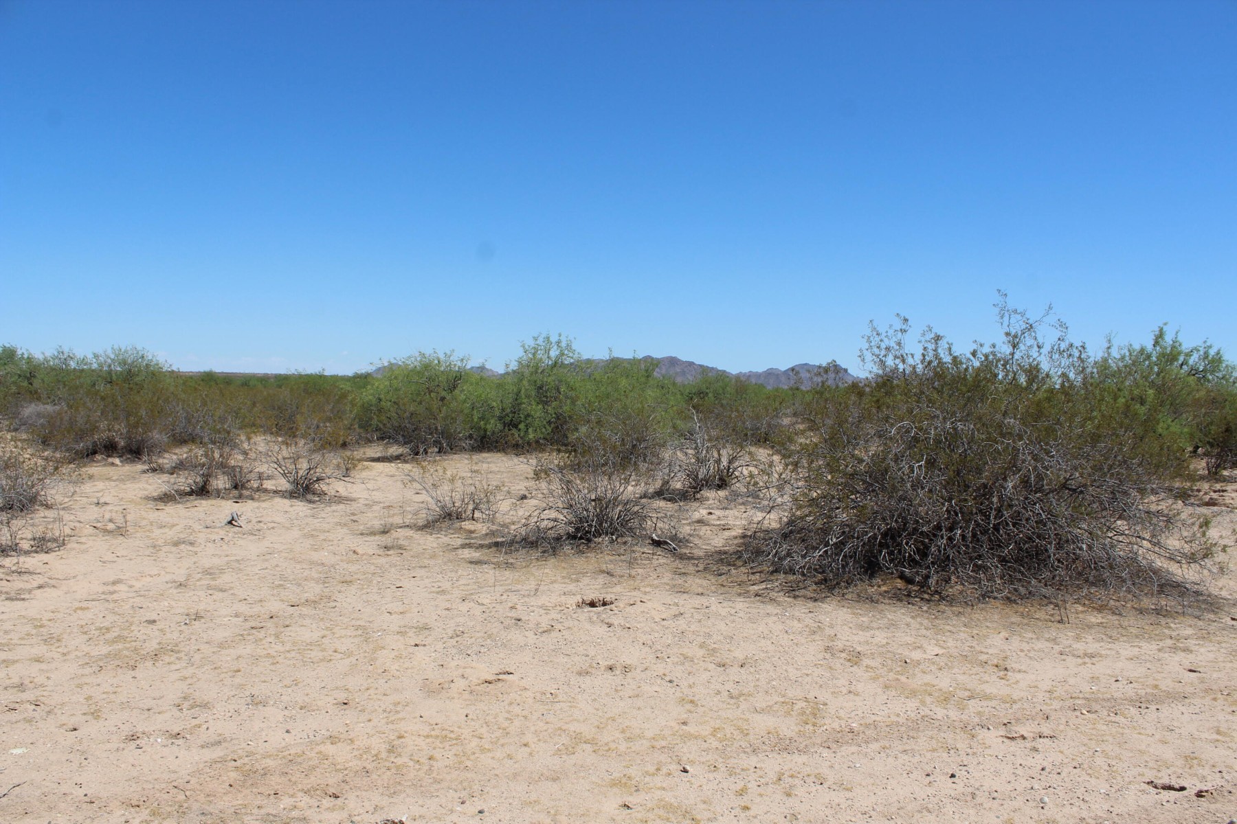  11 S 337th Avenue, Arlington, AZ, 85322 - 物件實景