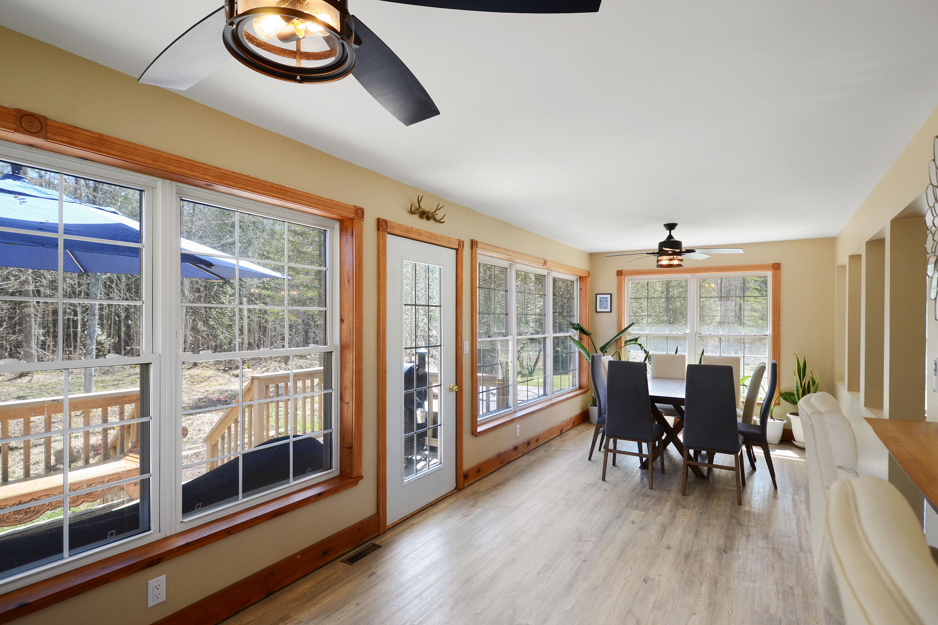  93 Pristine Acres of Privacy - 物件實景