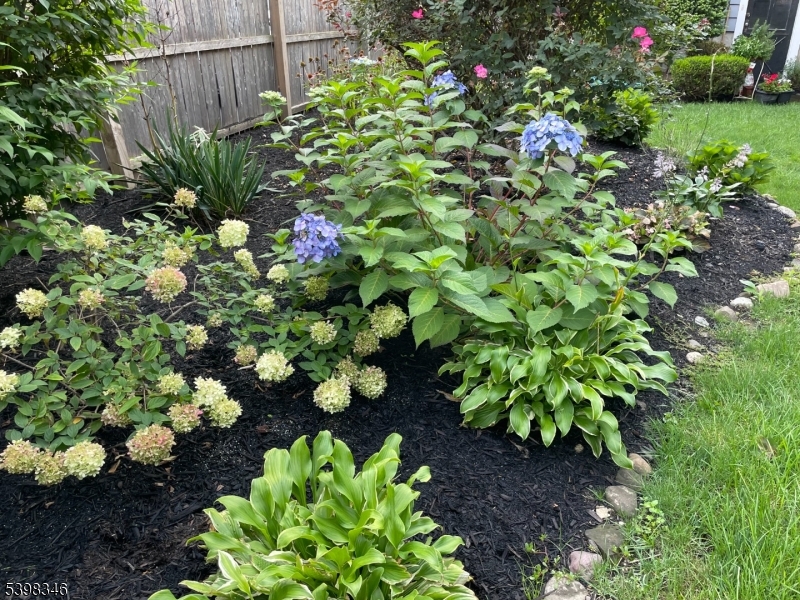 Hawthorne Boro, New Jersey, 07506, United States, 4 Bedrooms Bedrooms, ,2 BathroomsBathrooms,Residential,For Sale,1997241