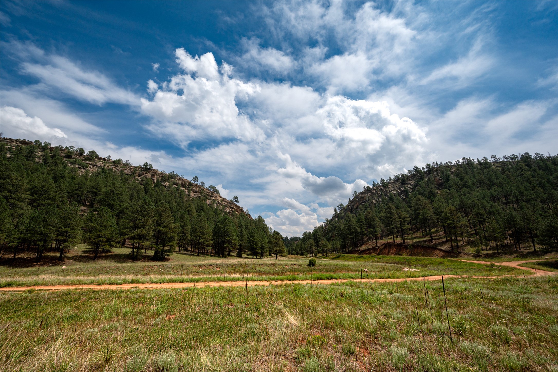  115 Blue Deer Ranch Road, B-109 - 物件實景