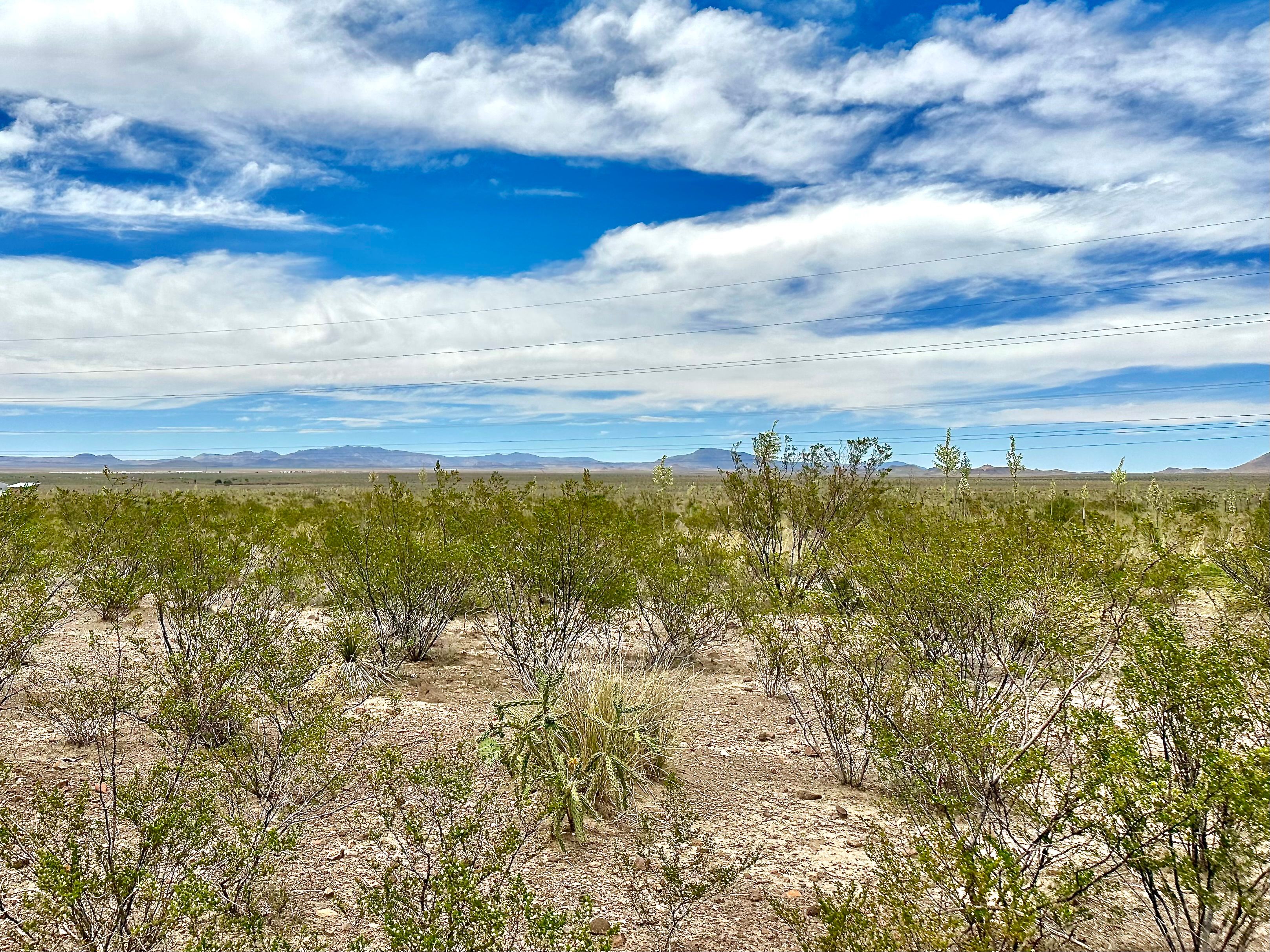  Scenic High-Elevation Homesite - 物件實景