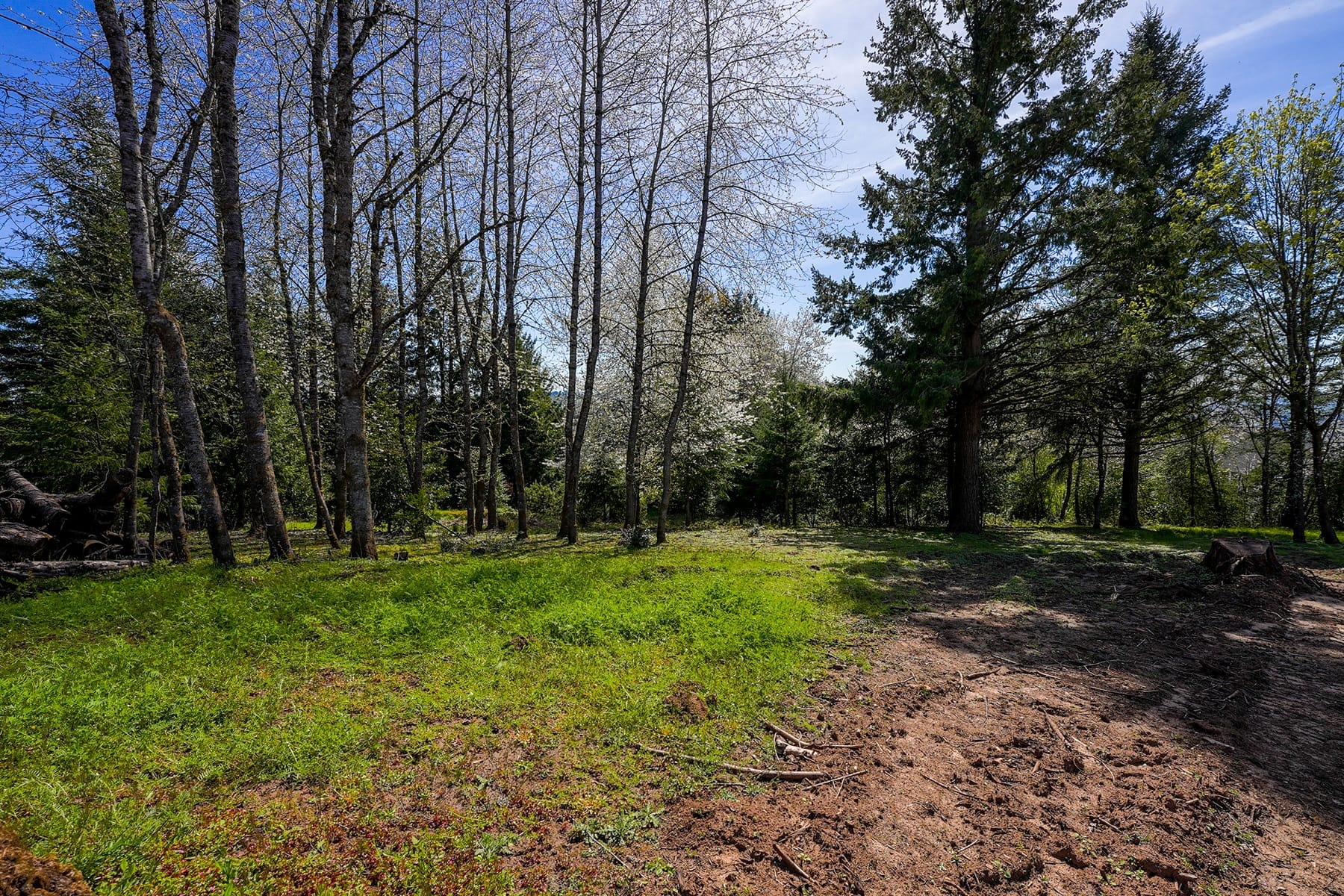  NE Mountain Home RD Sherwood, OR 97140 - 物件實景