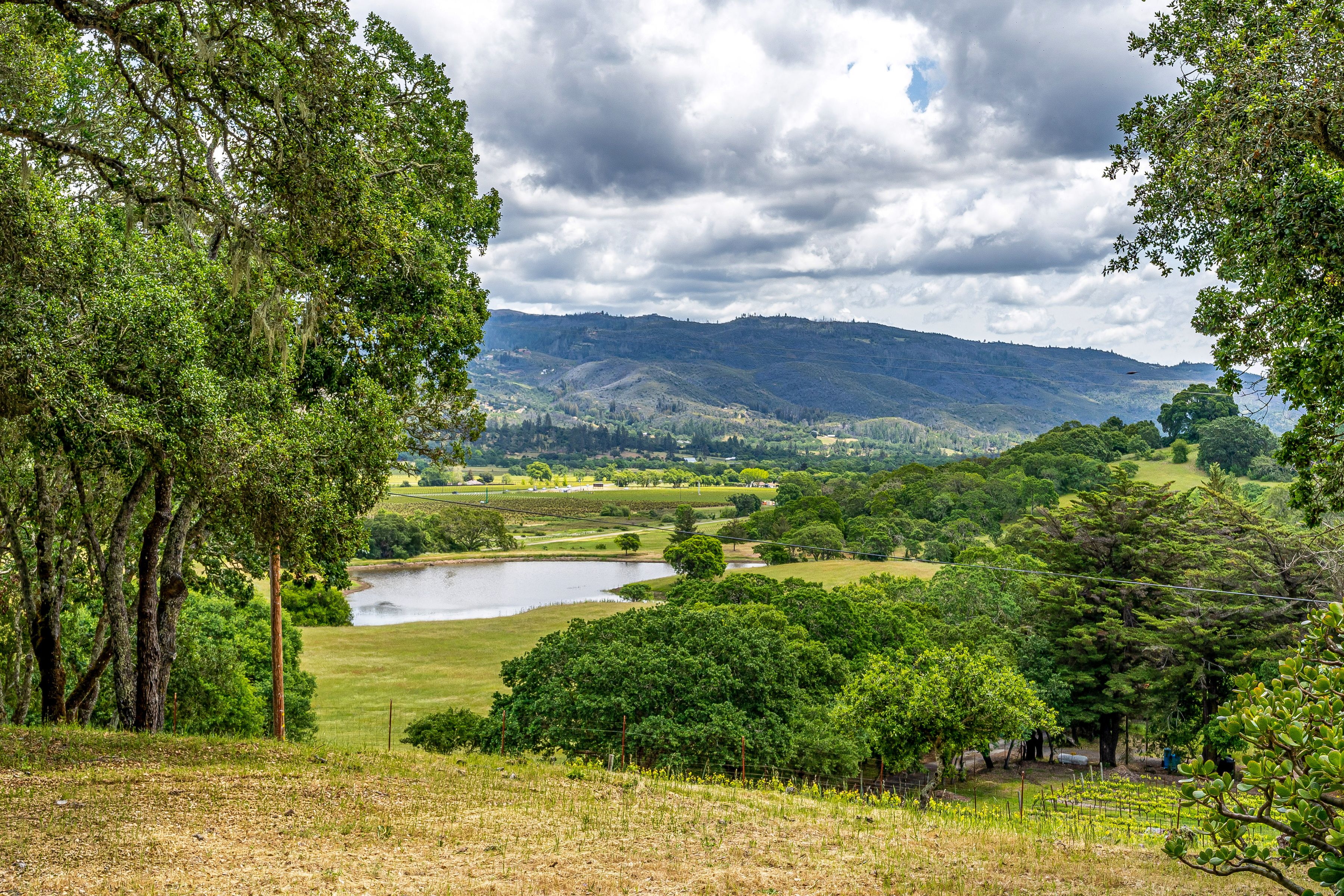  10601 Slattery Road - 物件實景