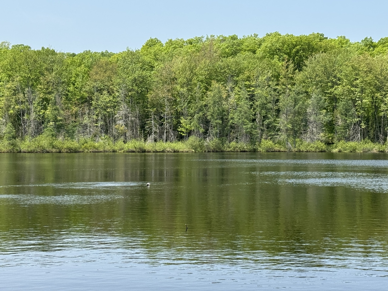 Oma, Wisconsin, 54534, United States, ,Residential,For Sale,1920346