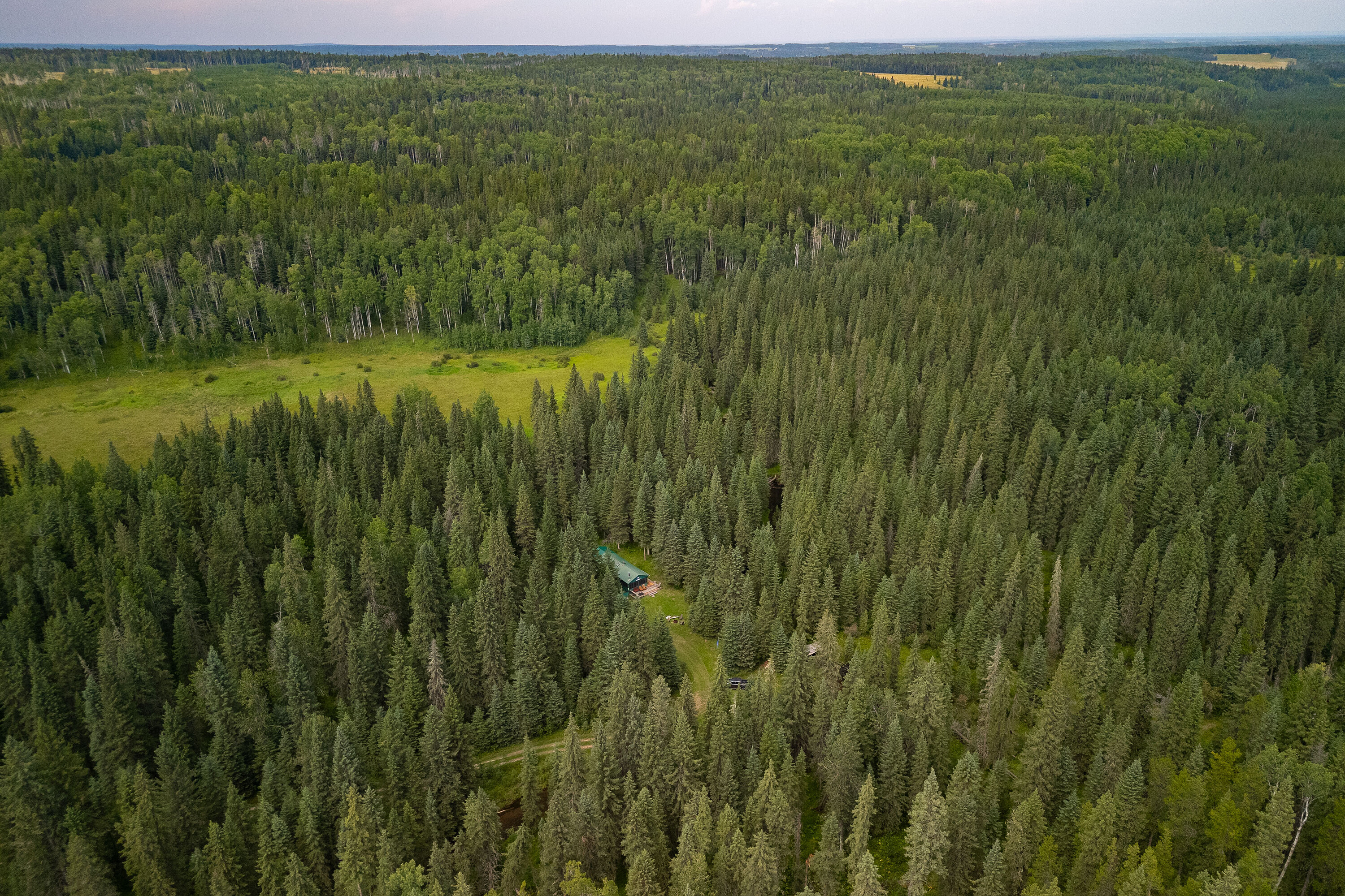 Rural Clearwater County, North