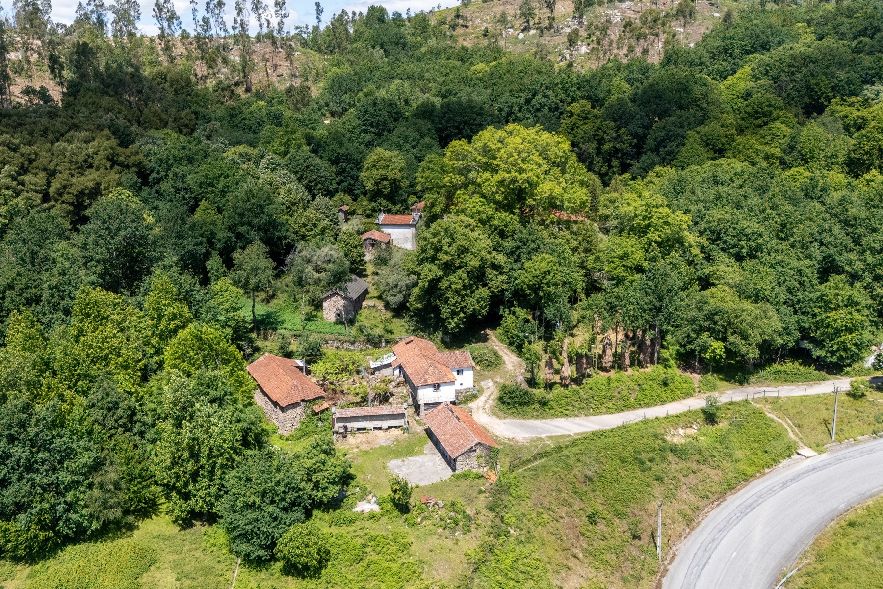  Farm for Sale - 物件實景