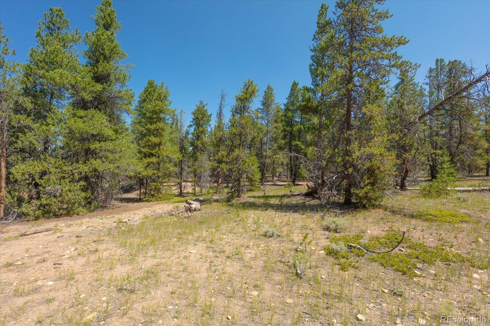 Leadville, Colorado, 80461, United States, ,Land,For Sale,1978663