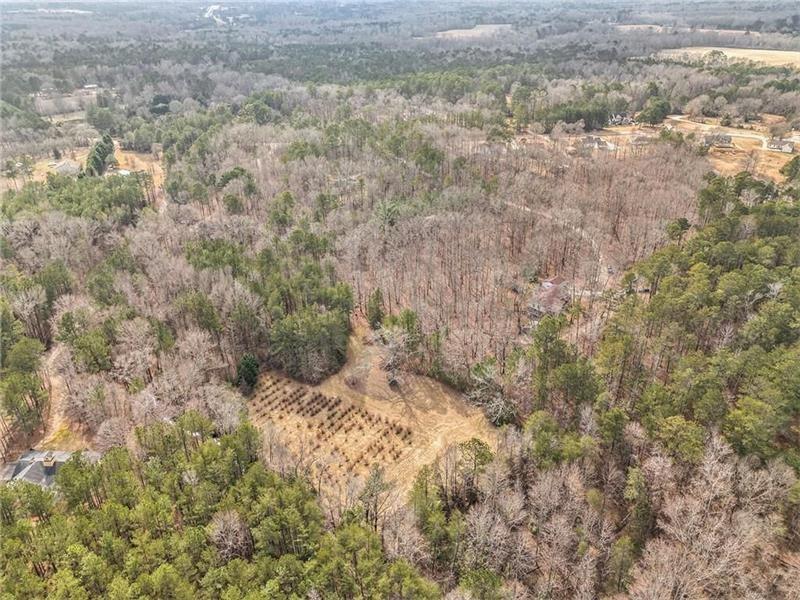 Hampton, Georgia, 30228, United States, 6 Bedrooms Bedrooms, ,6 BathroomsBathrooms,Land,For Sale,2025464
