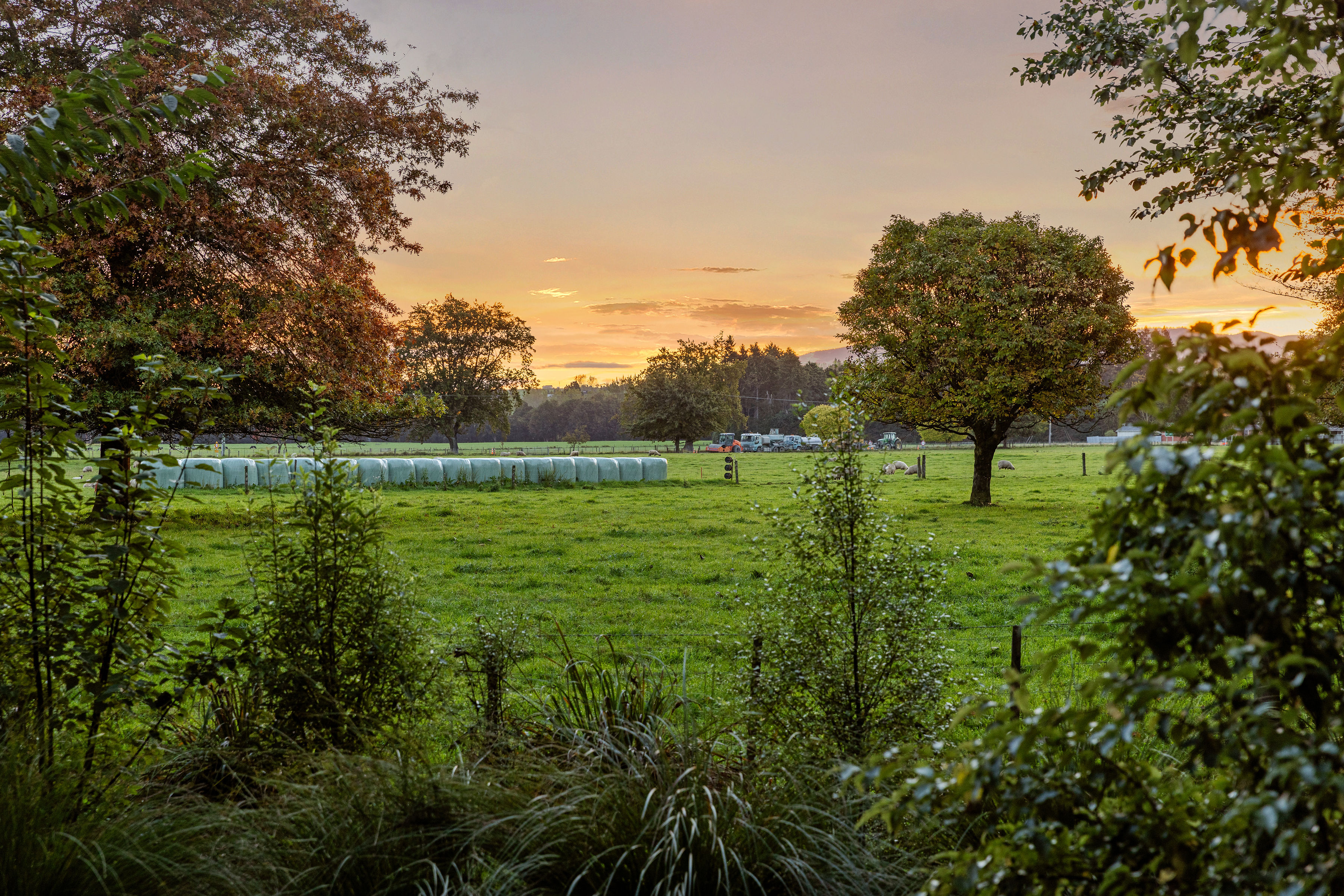  Landmark Homestead rezoned with substantial landbank - 物件實景