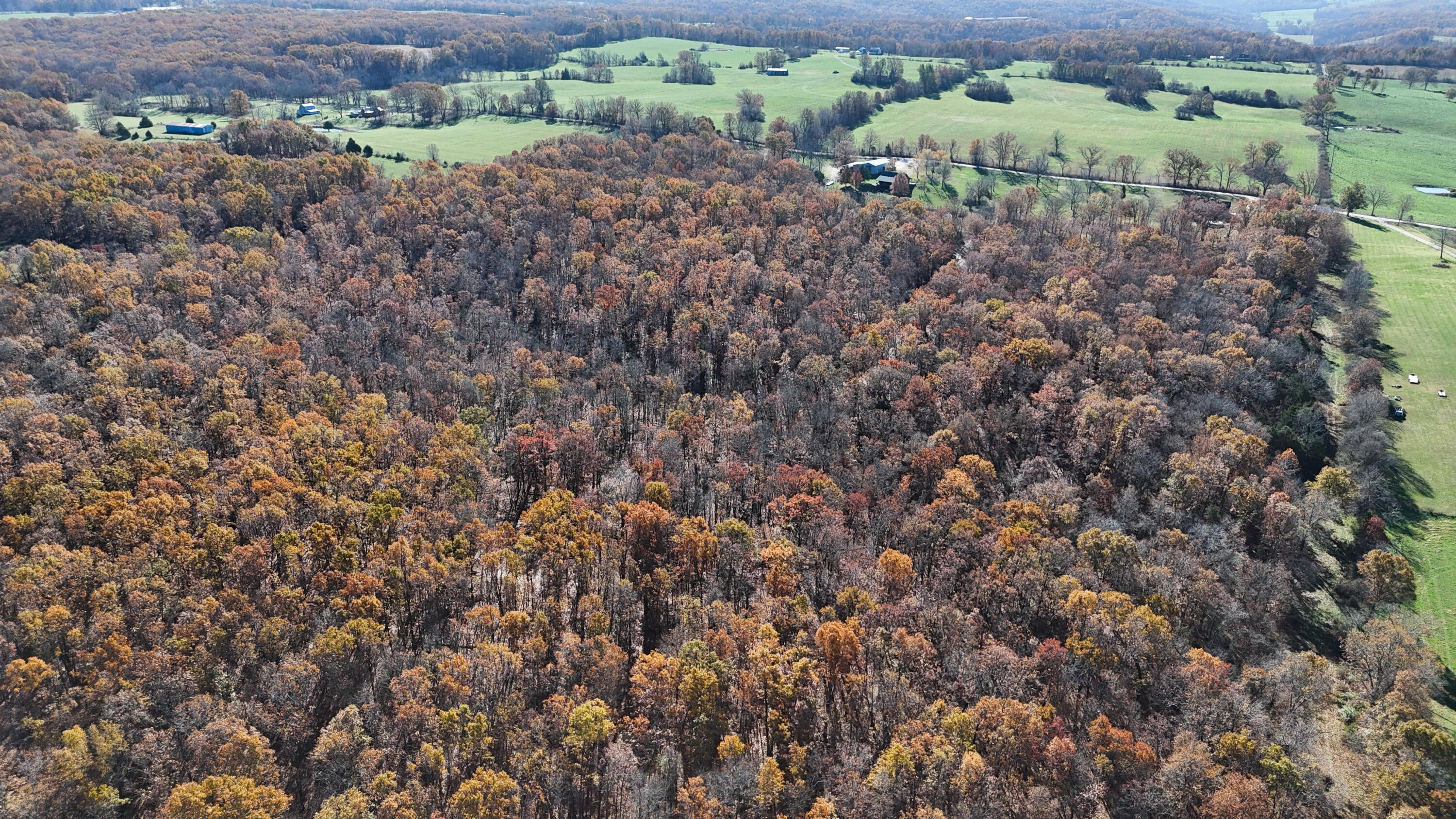 Norwood, Missouri, 65717, United States, 3 Bedrooms Bedrooms, ,3 BathroomsBathrooms,Residential,For Sale,2005497