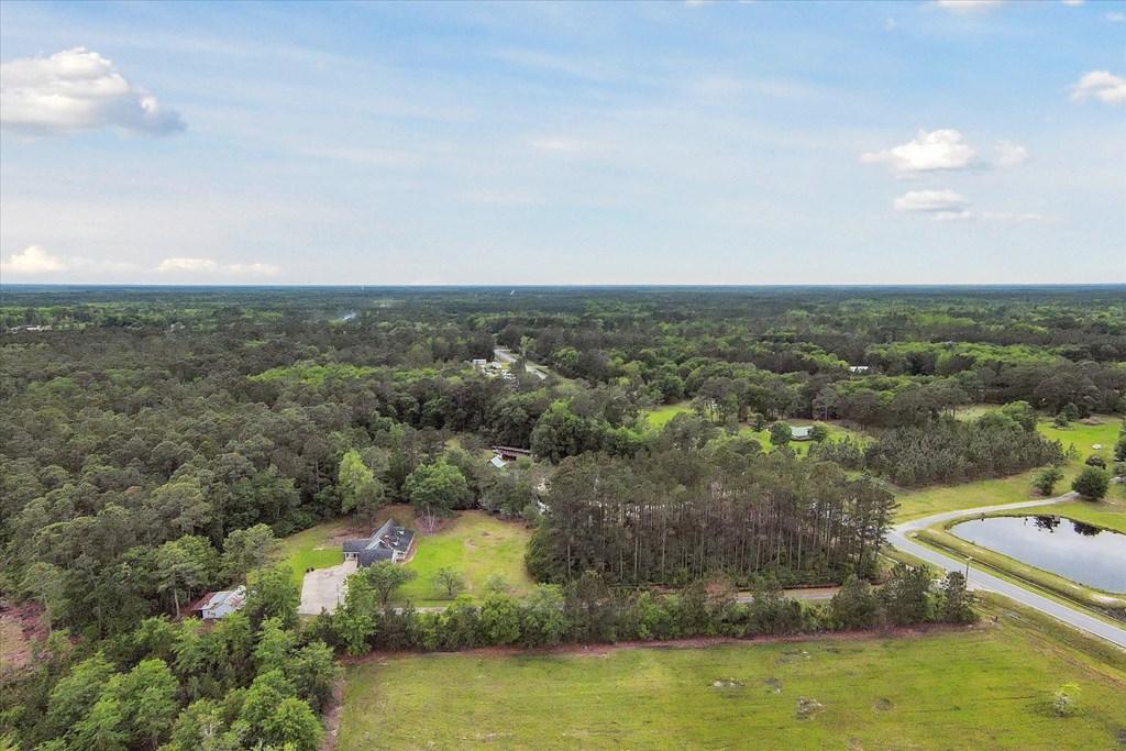 5278 NE Elim Church Road Ne Road, Ludowici, Georgia, 31316, United States, 3 Bedrooms Bedrooms, ,2 BathroomsBathrooms,Residential,For Sale,5278 NE Elim Church Road Ne Road,1437237