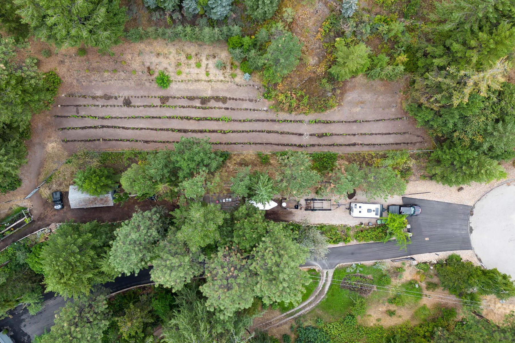  Private 5 Acre Estate - 物件實景