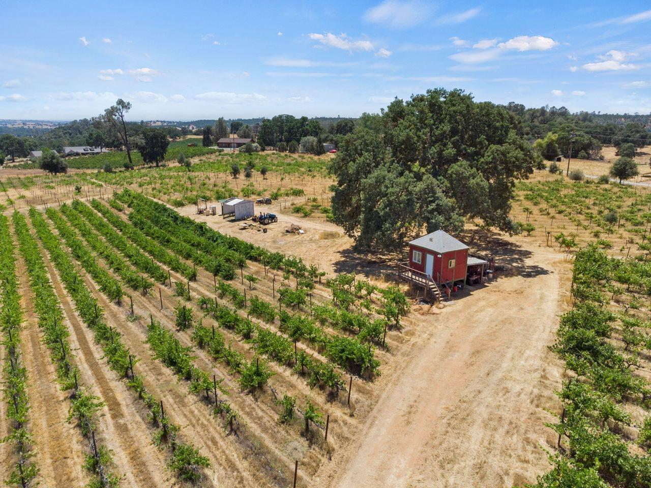 21226 Dickson Road, Plymouth, California, 95669, United States, ,Land,For Sale,21226 Dickson Road,1672447