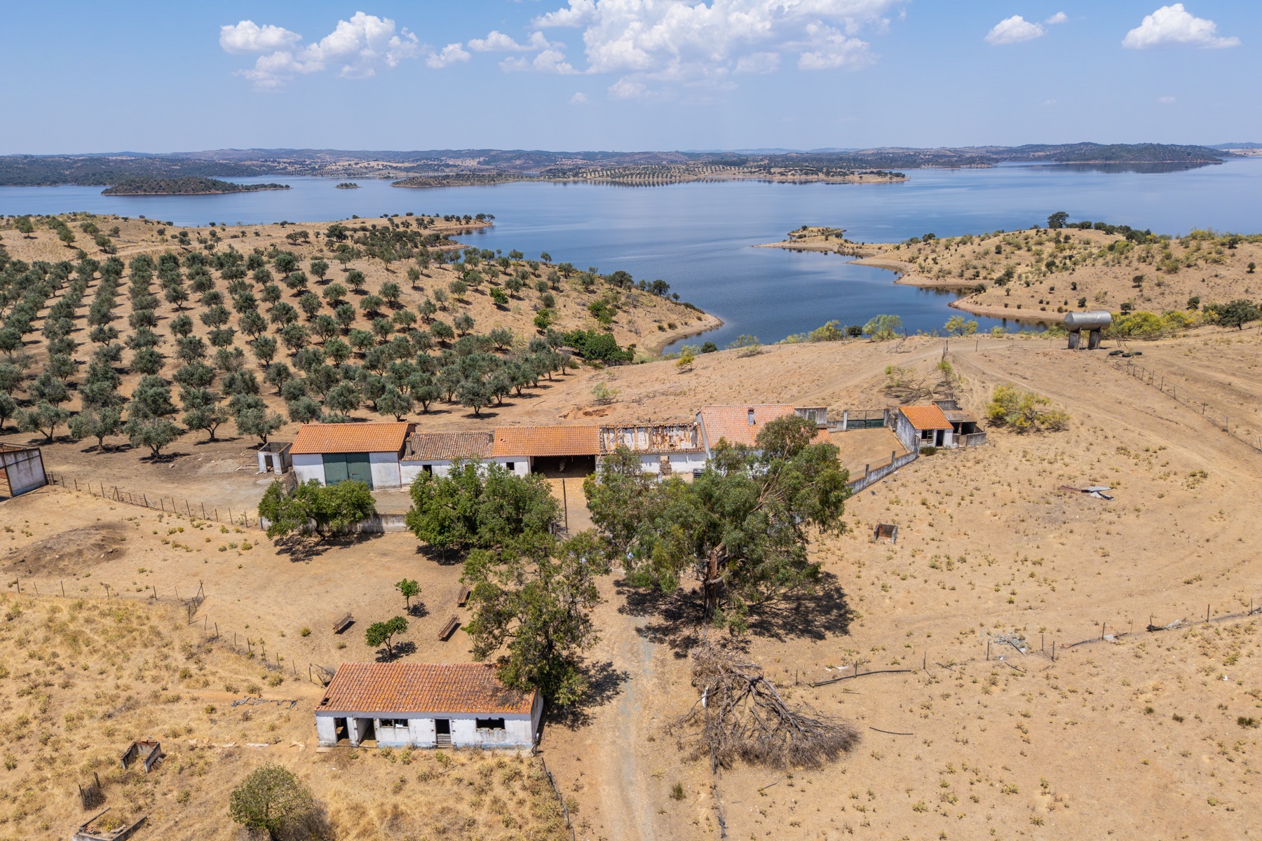  Country Estate for Sale - 物件實景