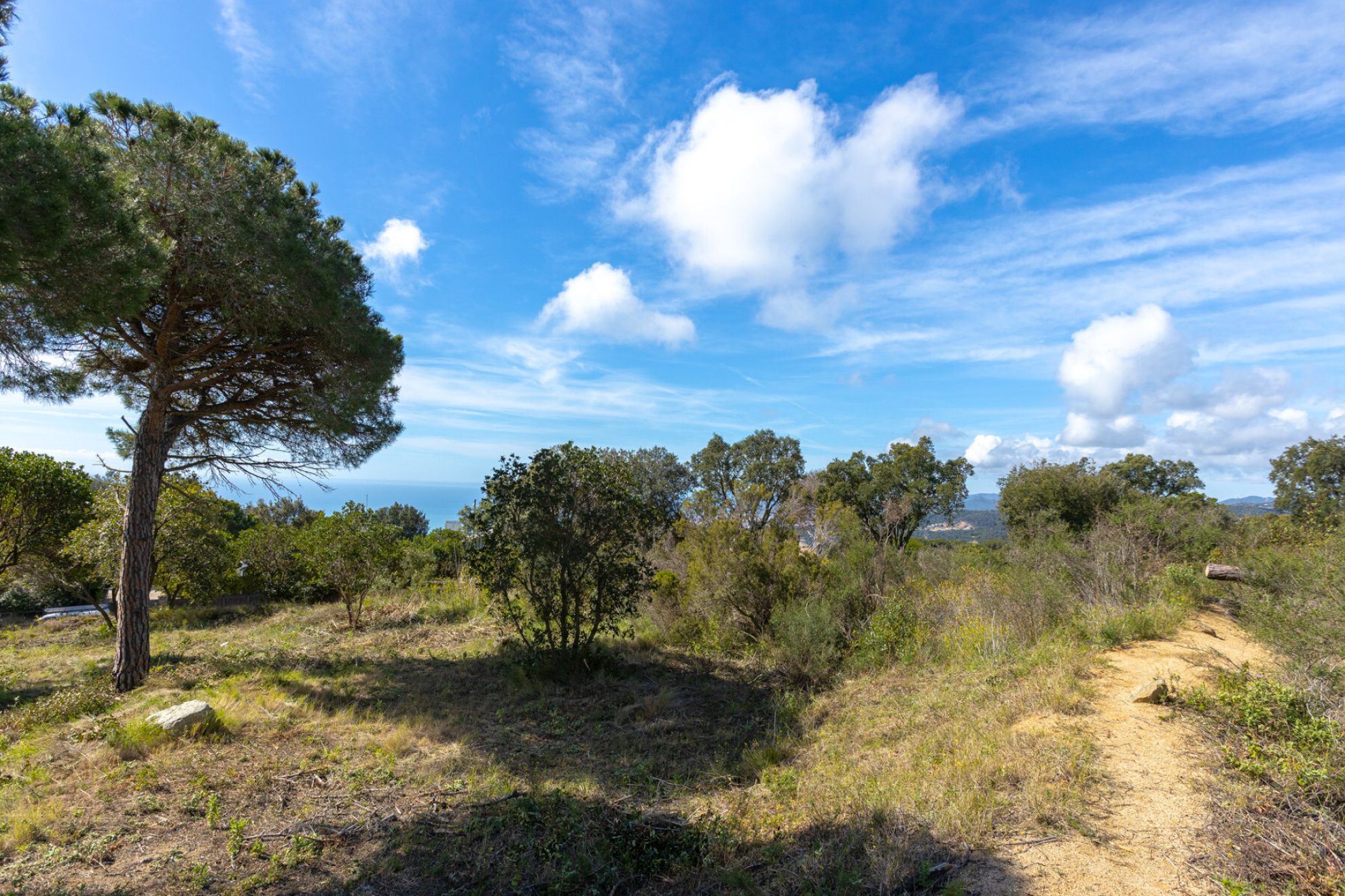  Urban land plus forest in Supermaresme - Costa BCN - 物件實景