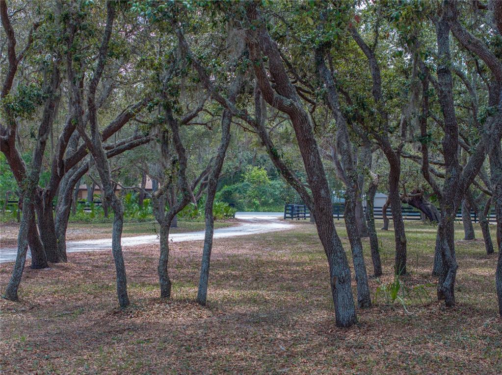 Lake Wales, Florida, 33898, United States, 3 Bedrooms Bedrooms, ,3 BathroomsBathrooms,Residential,For Sale,1793188