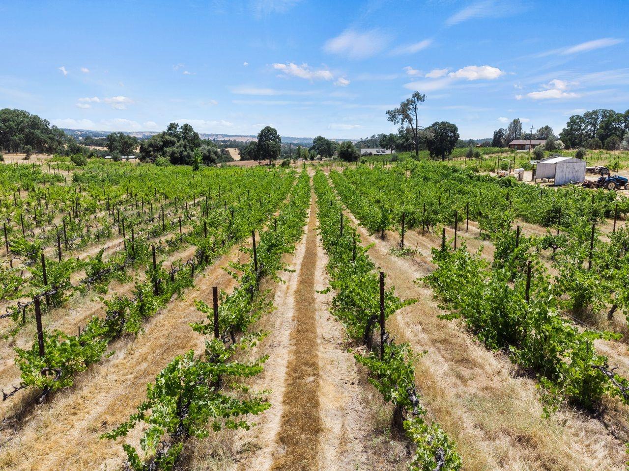 21226 Dickson Road, Plymouth, California, 95669, United States, ,Land,For Sale,21226 Dickson Road,1672447