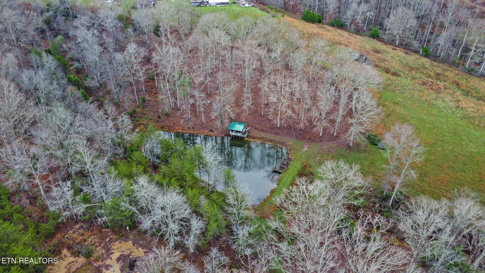 Deer Lodge, Tennessee, 37726, United States, 3 Bedrooms Bedrooms, ,2 BathroomsBathrooms,Residential,For Sale,2006458