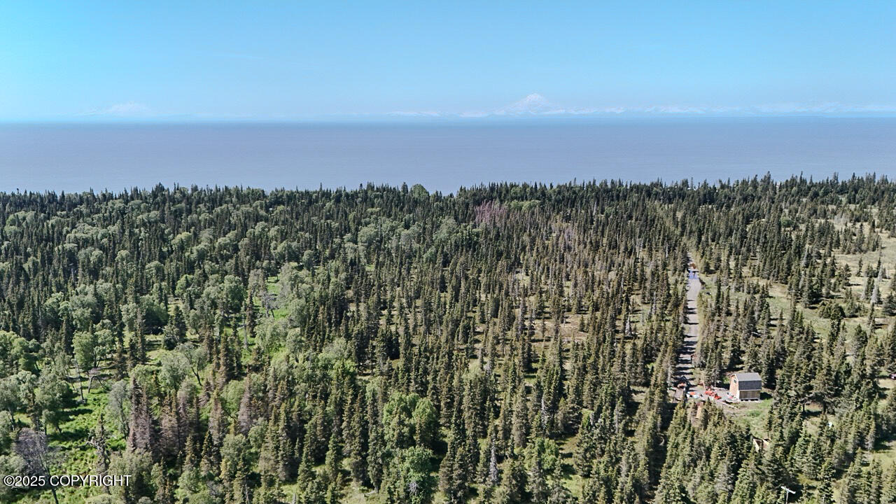 Kasilof, Alaska, 99610, United States, ,Land,For Sale,1975582