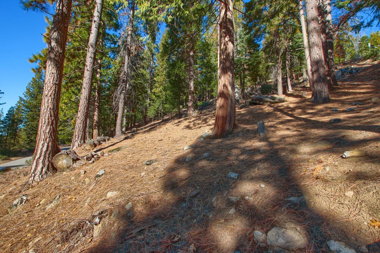 7466 Yosemite Park Way, Yosemite, California, 95389, United States, 3 Bedrooms Bedrooms, ,3 BathroomsBathrooms,Residential,For Sale,7466 Yosemite Park Way,1408920