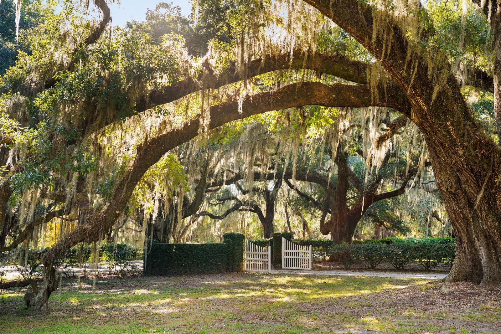 Yemassee, South Carolina, 29945, United States, 6 Bedrooms Bedrooms, ,7 BathroomsBathrooms,Residential,For Sale,1989284